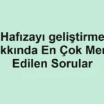 hafizayi-gelistirme-hakkinda-en-cok-merak-edilen-sorular.webp